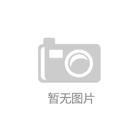 网球拍子选什么好用点