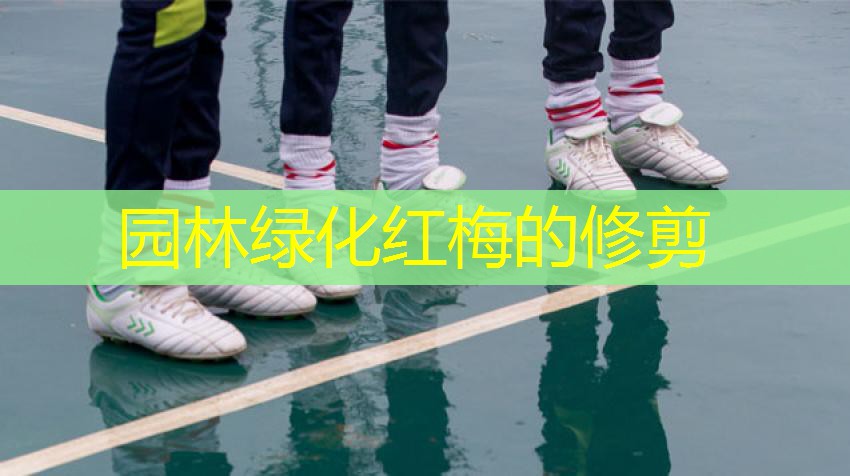 园林绿化红梅的修剪