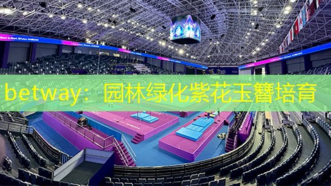betway：园林绿化紫花玉簪培育