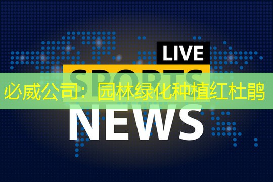 必威公司：园林绿化种植红杜鹃