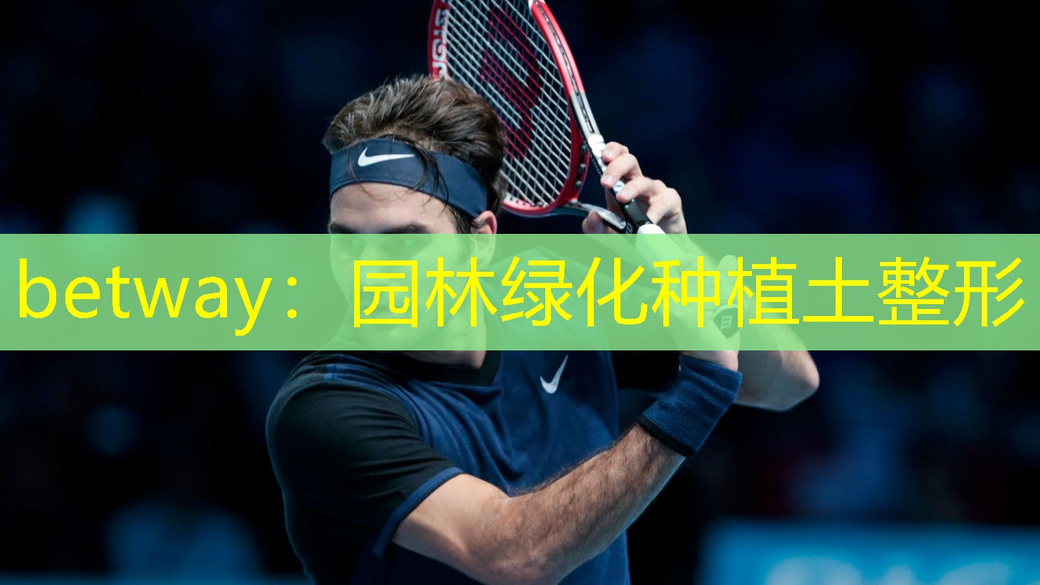 betway：园林绿化种植土整形