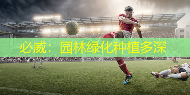 必威：园林绿化种植多深