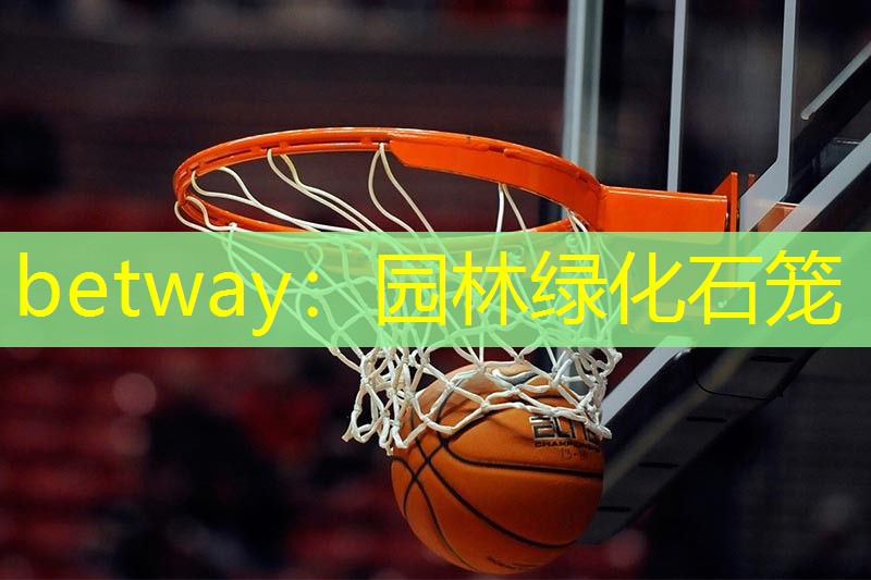 betway：园林绿化石笼