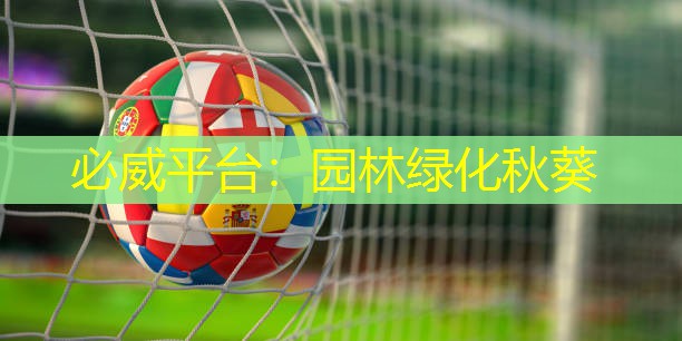 必威平台：园林绿化秋葵