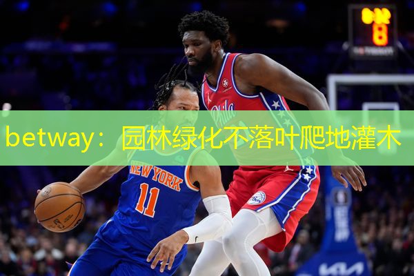 betway：园林绿化不落叶爬地灌木