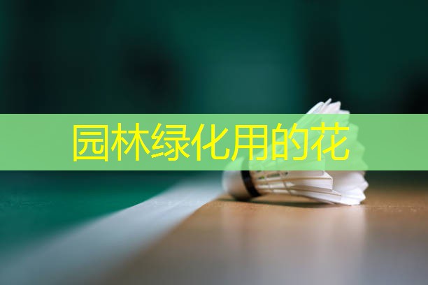 园林绿化用的花