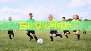 园林绿化用麻片