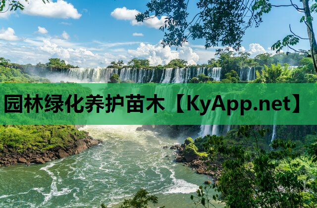 园林绿化养护苗木