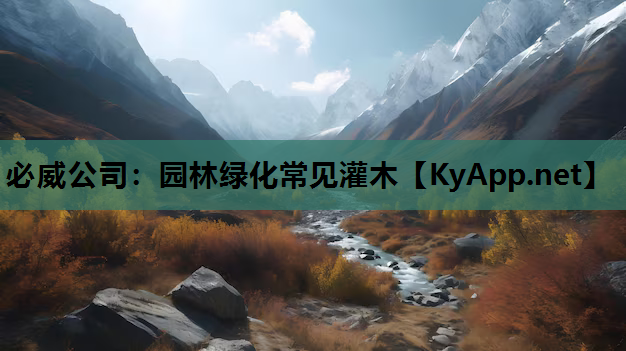 必威公司：园林绿化常见灌木