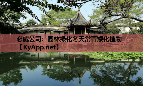 必威公司：园林绿化冬天常青矮化植物