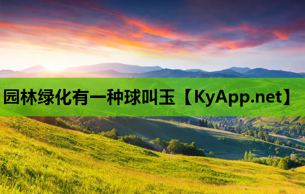 园林绿化有一种球叫玉