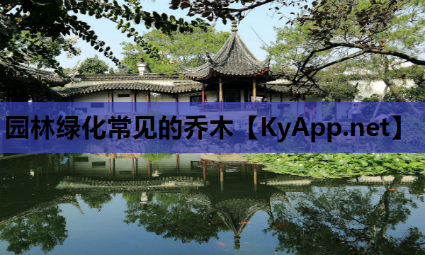 园林绿化常见的乔木