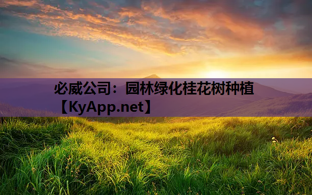 必威公司：园林绿化桂花树种植