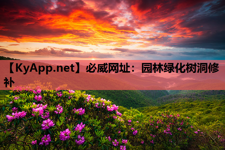 必威网址：园林绿化树洞修补