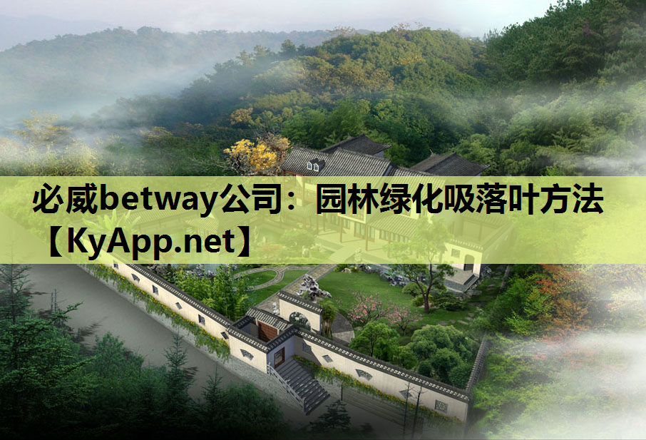 必威betway公司：园林绿化吸落叶方法