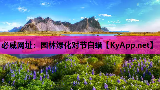 必威网址：园林绿化对节白蜡