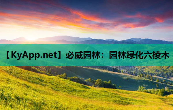 必威园林：园林绿化六棱木