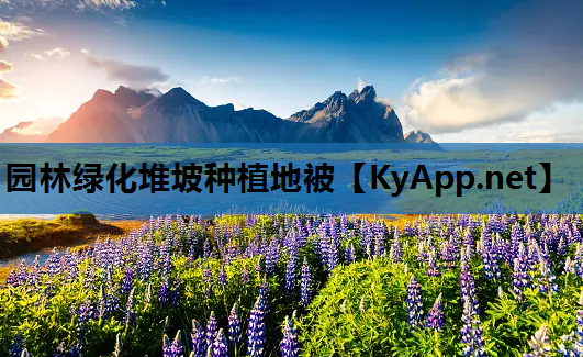 园林绿化堆坡种植地被