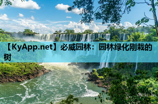 必威园林：园林绿化刚栽的树