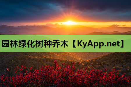 园林绿化树种乔木