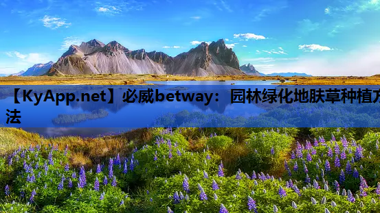 必威betway：园林绿化地肤草种植方法