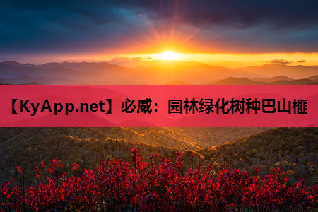 必威：园林绿化树种巴山榧