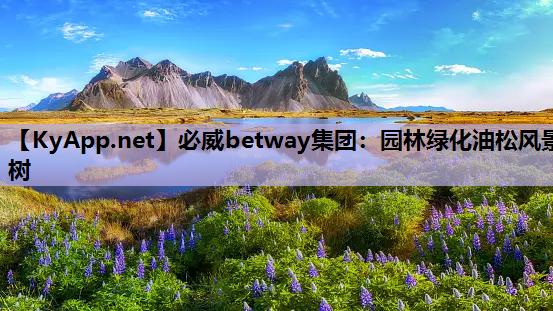 必威betway集团：园林绿化油松风景树