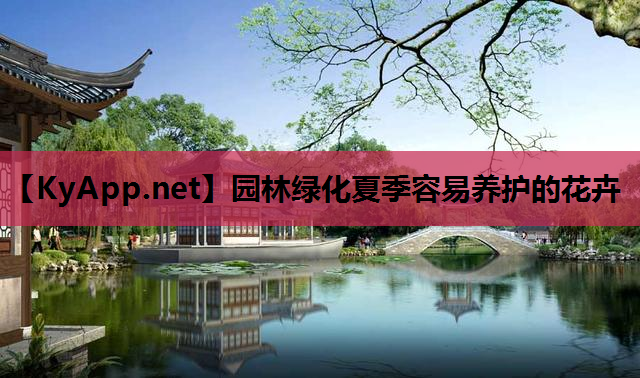 园林绿化夏季容易养护的花卉