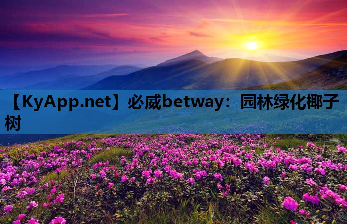 必威betway：园林绿化椰子树
