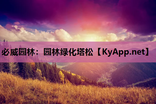 必威园林：园林绿化塔松