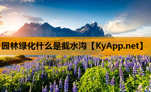 园林绿化什么是截水沟