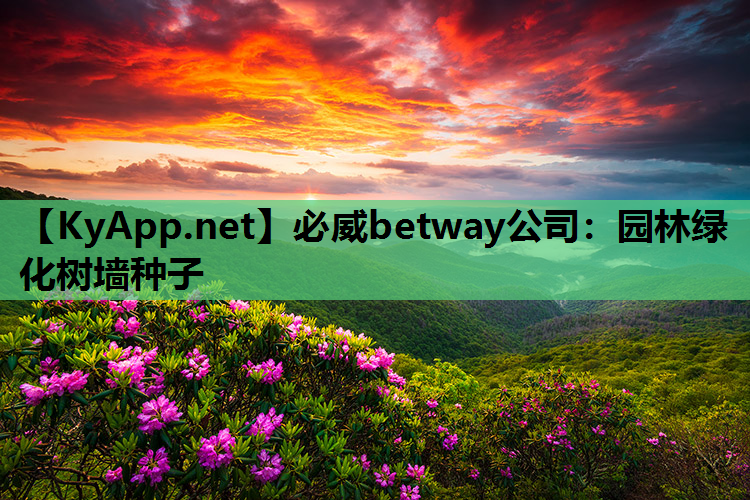 必威betway公司：园林绿化树墙种子