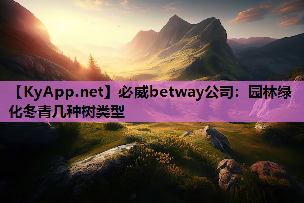 必威betway公司：园林绿化冬青几种树类型