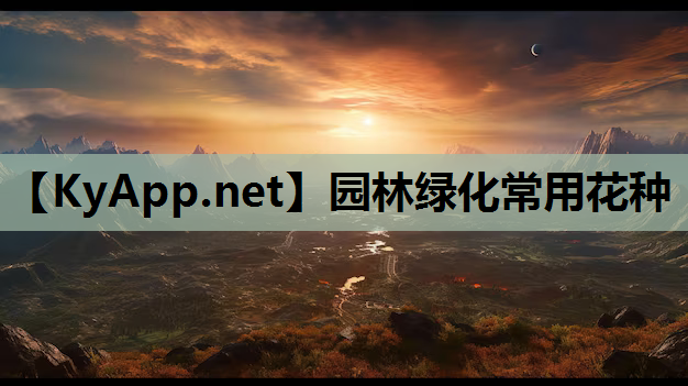 园林绿化常用花种