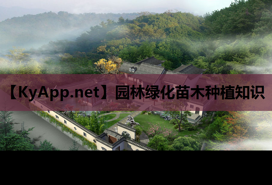 园林绿化苗木种植知识