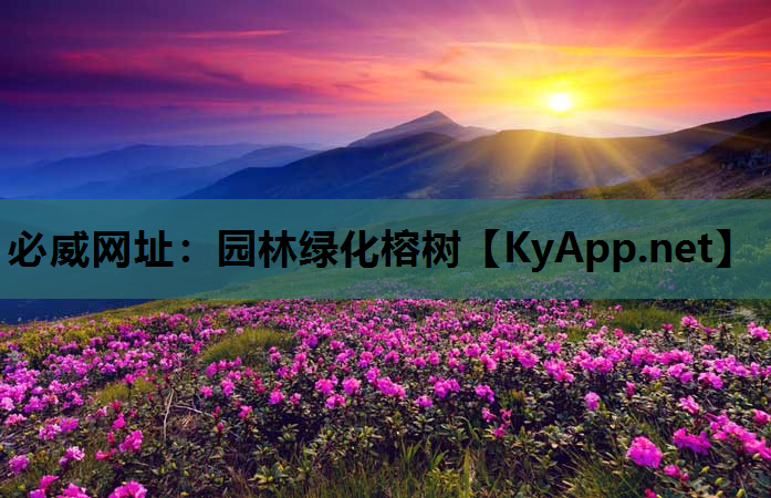 必威网址：园林绿化榕树