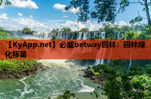 必威betway园林：园林绿化移苗