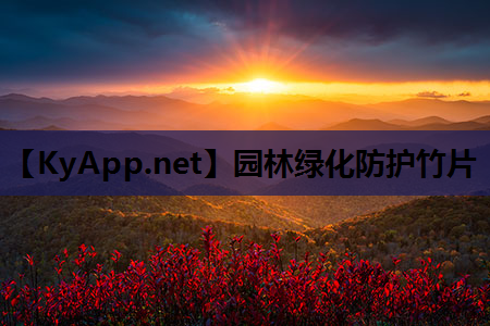 园林绿化防护竹片