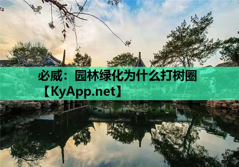 必威：园林绿化为什么打树圈