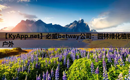 必威betway公司：园林绿化植物户外