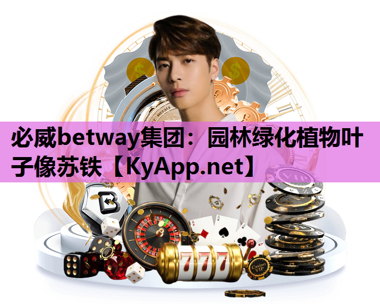 必威betway集团：园林绿化植物叶子像苏铁