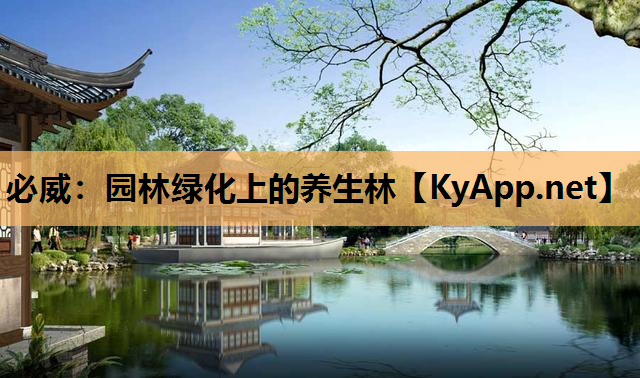 必威：园林绿化上的养生林