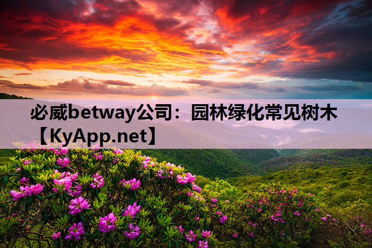 必威betway公司：园林绿化常见树木