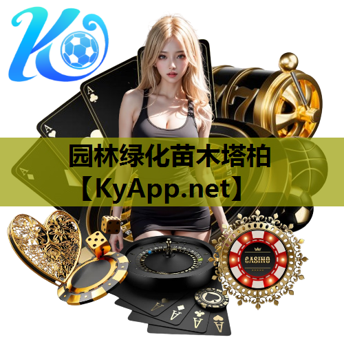 园林绿化苗木塔柏