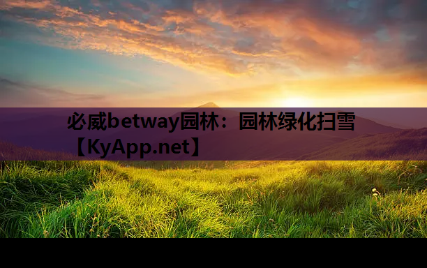 必威betway园林：园林绿化扫雪