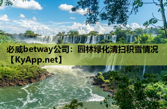 必威betway公司：园林绿化清扫积雪情况