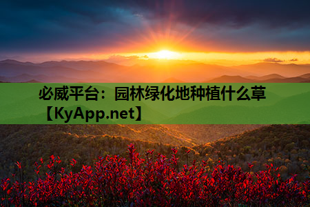 必威平台：园林绿化地种植什么草