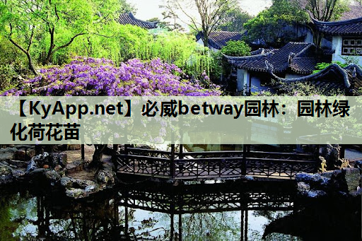 必威betway园林：园林绿化荷花苗