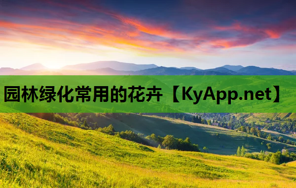 园林绿化常用的花卉