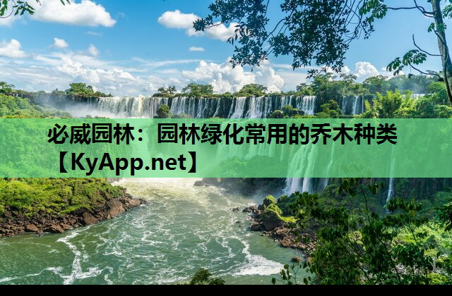 必威园林：园林绿化常用的乔木种类